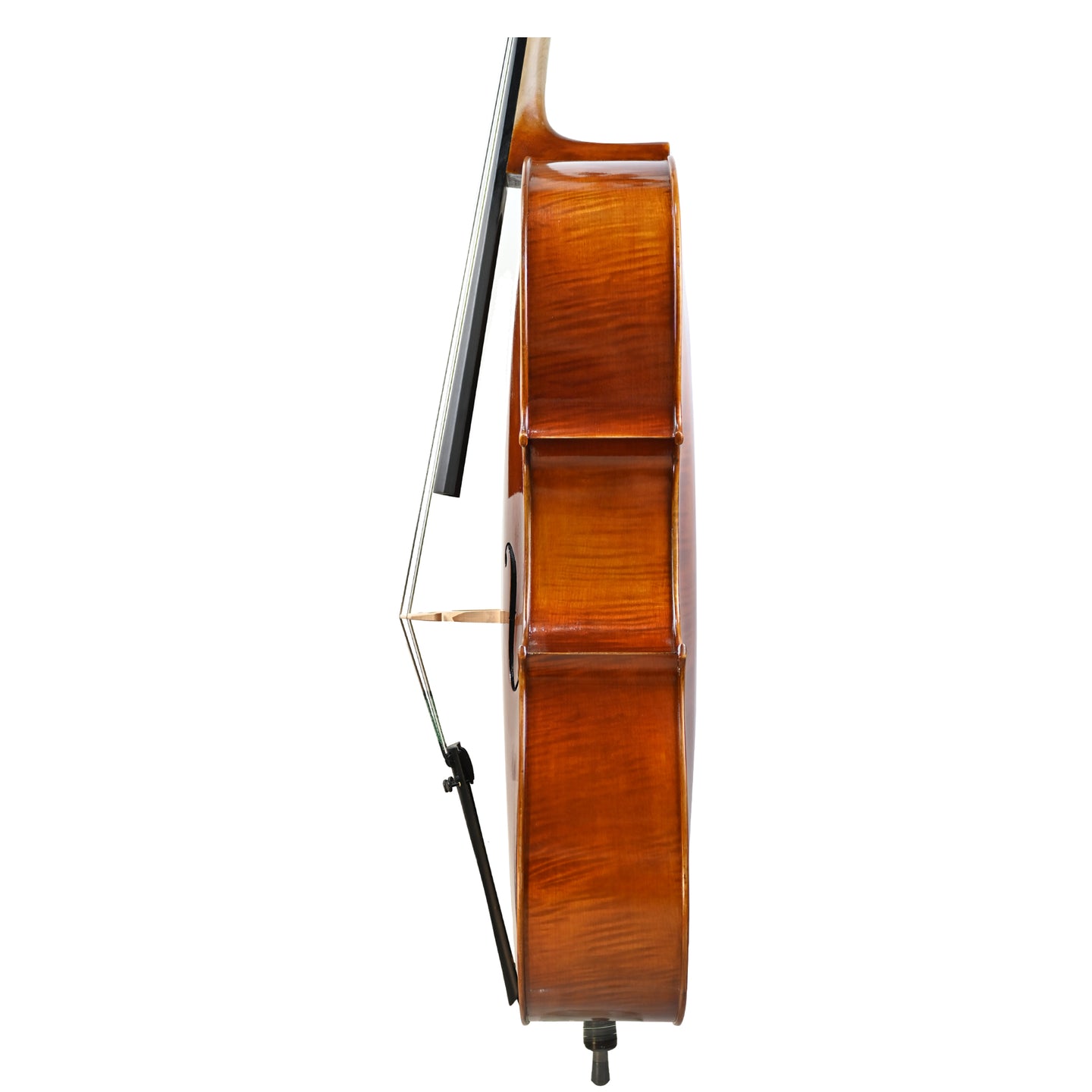 7036 intermediate cello left rib